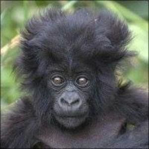 Meet your Posher, Kerrie